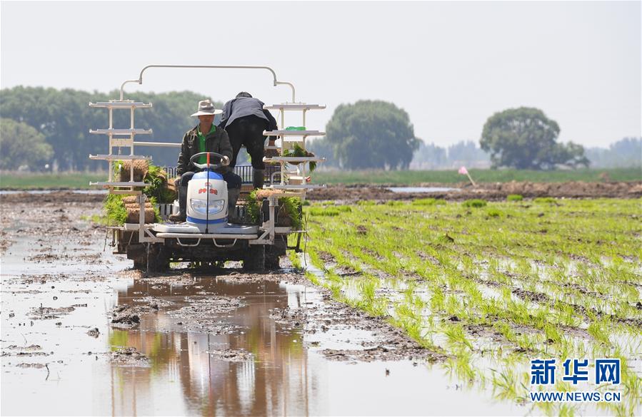 ����ᣩ��1�������μ�� ���ղ���æ