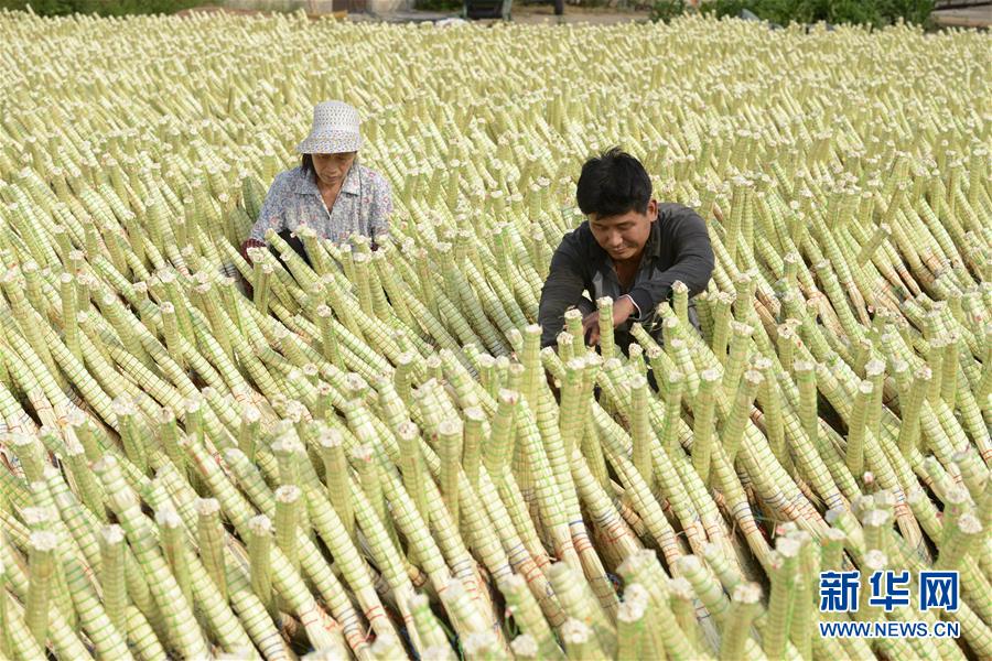 �����ã���3���ӱ���ͤ���������������