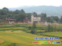 浙江宁海“美丽经济” 力促乡村振兴 浙江宁海“美丽经济” 力促乡村振兴