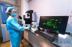 ̽���п�Ժ�人�����о���΢��������ֱ�������