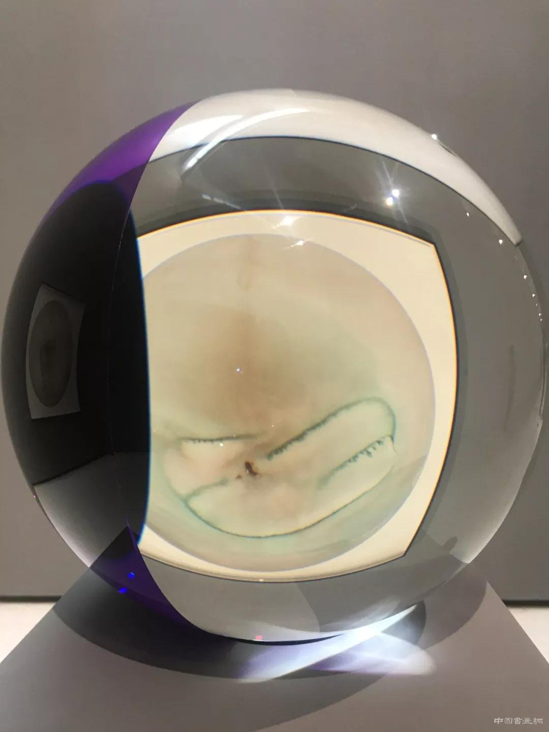 ����ά�����������ɡ�����������ѧ֮���������ʿ