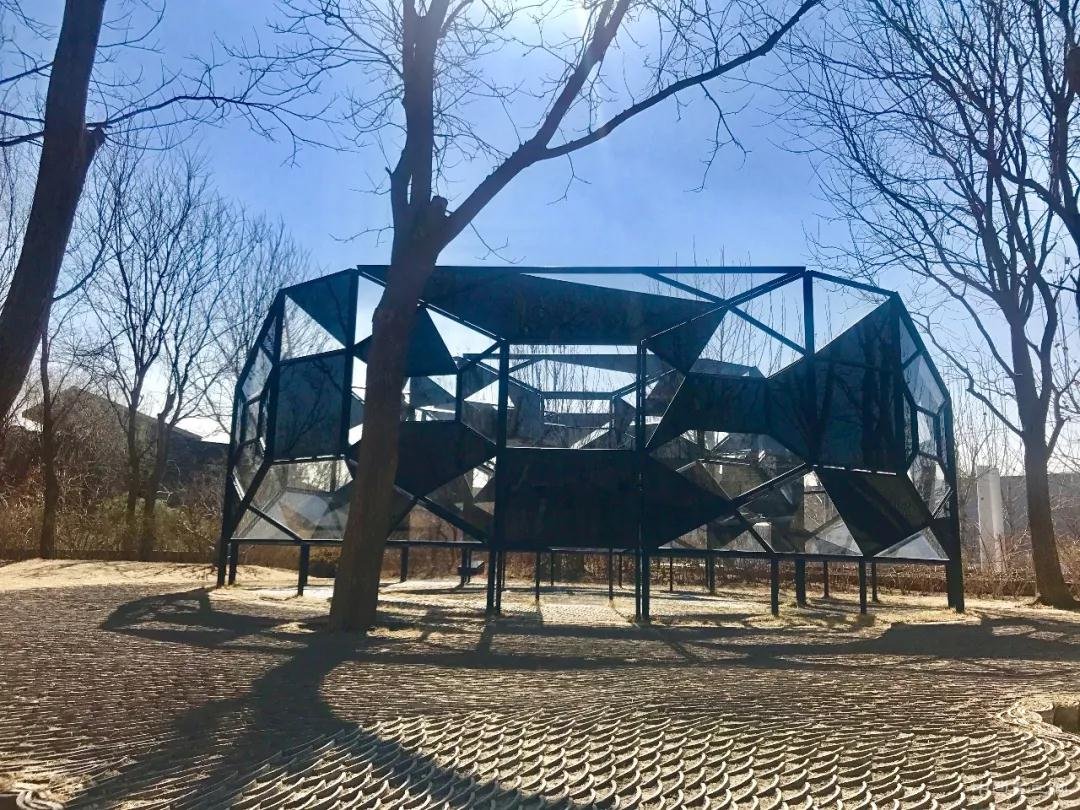 ����ά�����������ɡ�����������ѧ֮���������ʿ